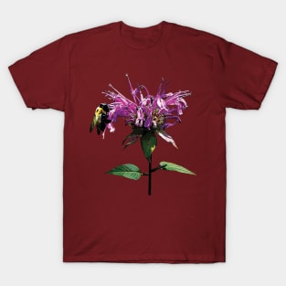 Bee Balm - Bee on Lavender Bee Balm T-Shirt